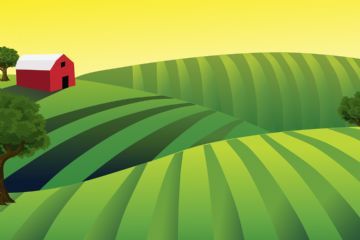 Ricognizione danni agricoltura siccit&#224; 2023