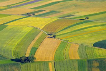 Pubblicizzazione dei nuovi dati censuari delle particelle catastali oggetto di aggiornamento a seguito delle dichiarazioni rese